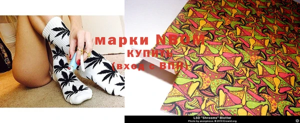 прущие грибы Алзамай