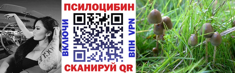 Галлюциногенные грибы Psilocybine cubensis  купить наркоту  Весьегонск 